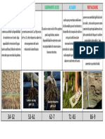 Actividad #06 - Suelos Acidos y Basicos PDF