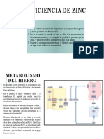 Deficiencia de Zinc