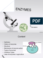 Enzymes PDF