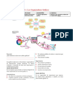 3.3. Los Organizadores Gráficos