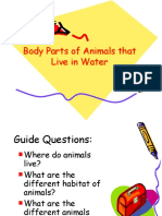 Body Parts of Aquatic Animals