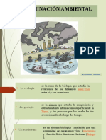 CONTAMINACION AMBIENTAL