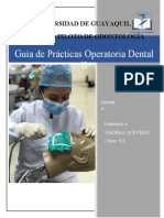 Guía de Prácticas Operatoria Dental II