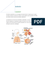 Sistema Respiratorio