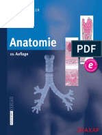 Anatomie Schiebler 10 Aufl PDF