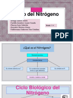 Ciclo de Nitrogeno PDF