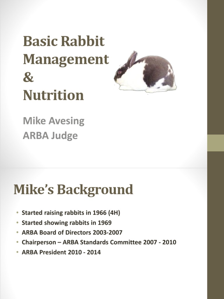 Rabbit Management and Nutrition Guide | PDF | Rabbit | Food And Drink