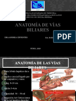 Anatomia de Vias Biliares