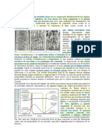 Explicación Músculo Liso-2 PDF