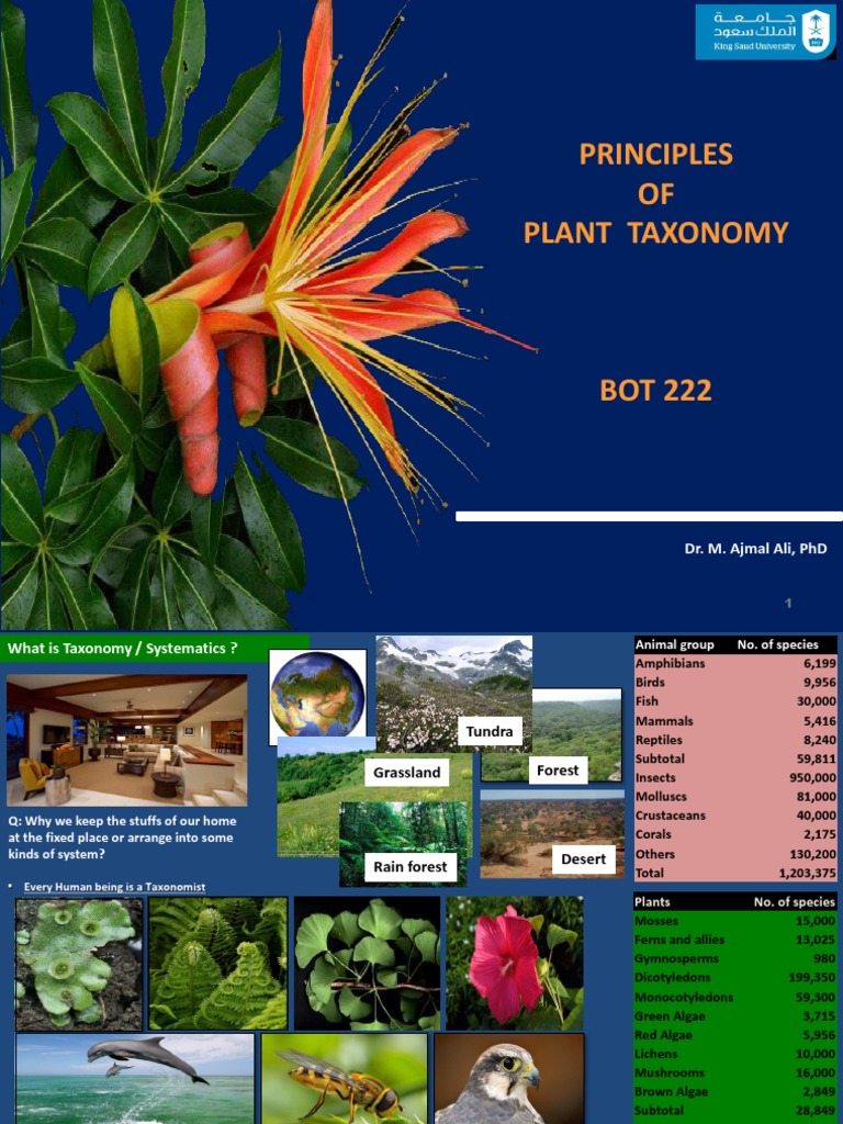Principles of Plant Taxonomy Overview | PDF | Leaf | Taxonomy (Biology)