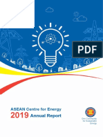 Annual Report ACE 2019 PDF