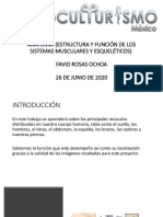 Favio Rosas Ochoa Modulo 2 PDF