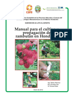 Rambutan PDF