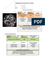 Clasificación de Las Rocas Sedimentarias en Relación A Su Origen-2