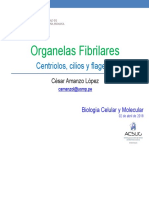 Clase 5-Biología