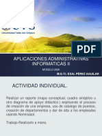 Aplicaciones Administrativas Informaticas Ii PDF