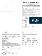 7r Simulacro B