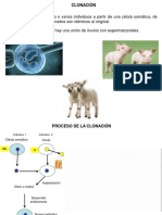 Presentación Clonación y Transgénicos