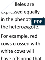 Both Alleles Are Expressed Equally in The Phenotype of The Heterozygote