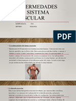 Enfermedades Del Sistema Muscular