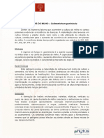 antracnose.pdf