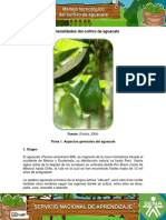 Generalidades del cultivo de aguacate.pdf
