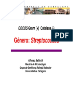 4_Cocos_catalas_neg Streptococcus