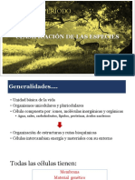 CLASIFICACIÓN DE LAS ESPECIES.pdf