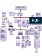 Unidad Estructural de Los Seres Vivos PDF
