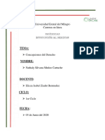 Concepción Del Derecho PDF