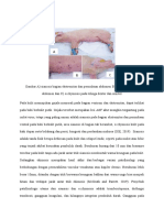 Patovet Kulit Babi PDF