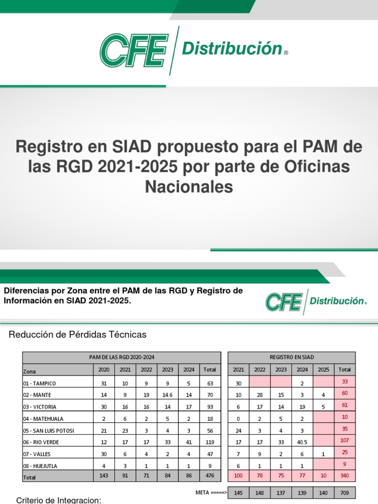 Tablas 20212025 30062020 PDF Naturaleza Business