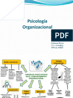 mapamentalpsicologiaorganizacional eudomar rivera