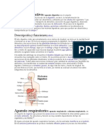 Aparato digestivoEl