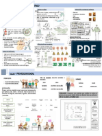 BIOSEGURIDAD