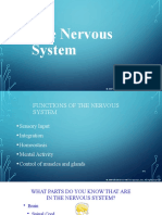 Nervous_System1.pptx