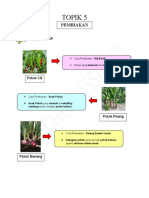 Topik 5 Tumbuhan