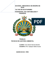 Documento piti