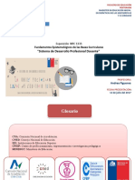 Sistema Desarrollo Profesional Docente 12-07