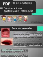 Desarrollo de La Oclusión 1 PDF