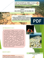 ppt expo ambiental