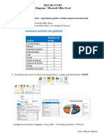 Fisa de Lucru Exceldiagrame