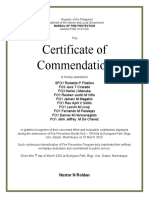 Certificate of Commendation: Nestor N Roldan