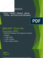 Biology PPT Tissues