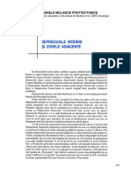 10. GEOLOGIA ROMANIEI_ DEPRESIUNILE MOLASICE.pdf