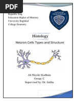 Histology: Neuron Cells Types and Structure