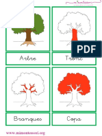 Partes Del Árbol en Catalán PDF