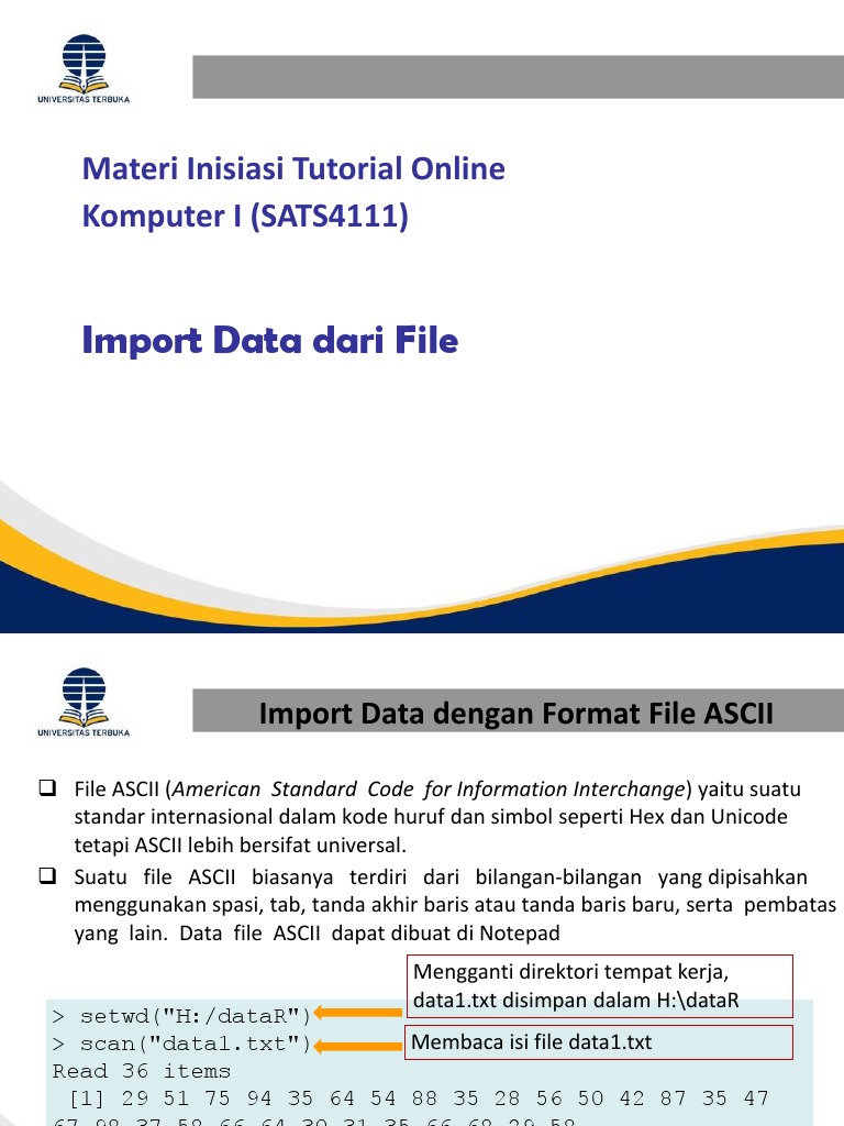 Panduan Import Data ke R | PDF