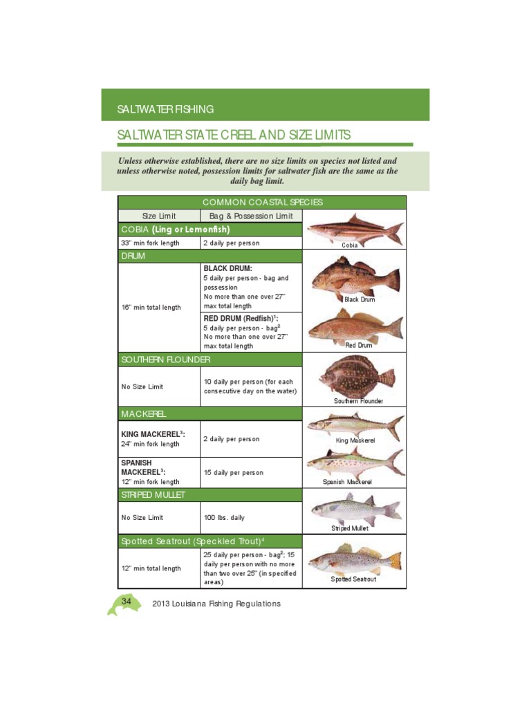Saltwater State Creel and Size Limits PDF Fish Fish And Humans