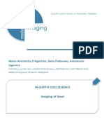 Imaging: In-Depth Discussion Ii Imaging of Gout